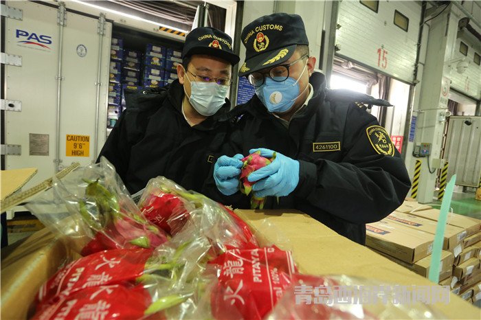 黃島海關“即驗即放”保障進口新鮮水果供應 (2).jpg